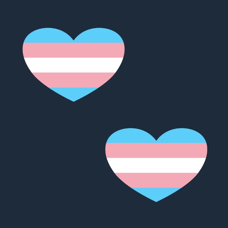 Trans Flagge Herzen