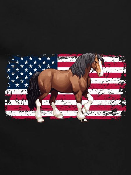 Amante del cavallo a sangue freddo equitazione USA