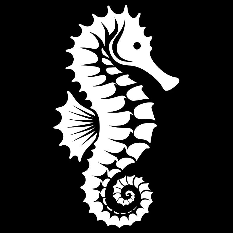 Hippocampe pour tous les amoureux de l’eau