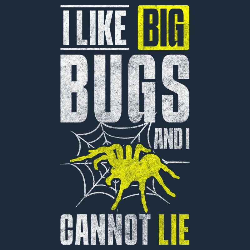 Spider Web Arachnids