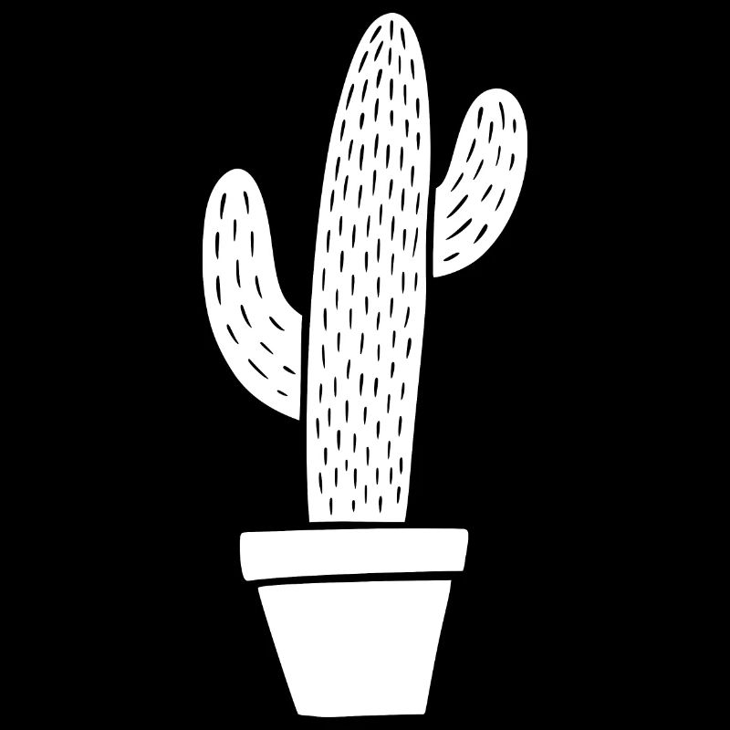 Cactus en pot