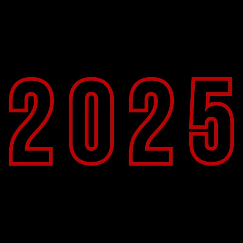 2025 Year Number