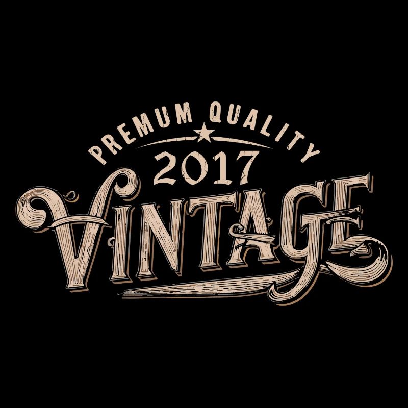 2017 Vintage 2017 Cadeau Anniversaire 2017 Rétro