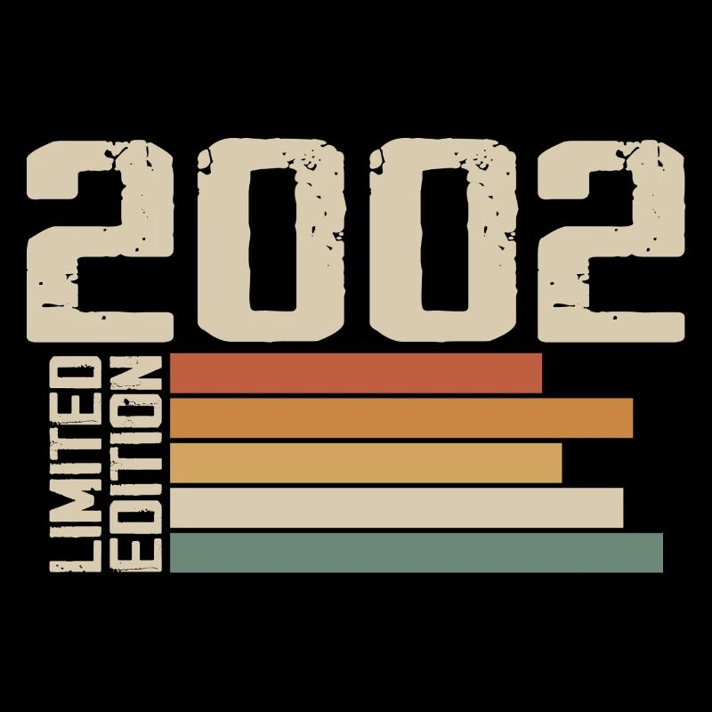 2002 Vintage - Retro 2002 Birthday Gift 2002