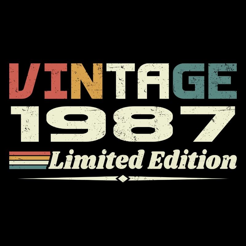Vintage 1987 Gift 1987 Birthday 1987 Retro