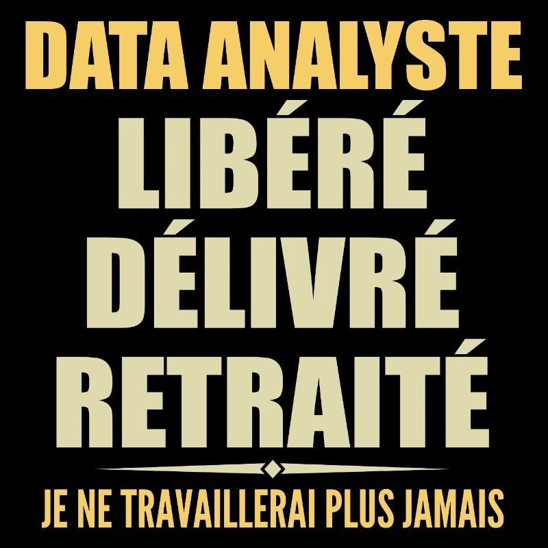Data Analyste célèbre sa retraite avec humour