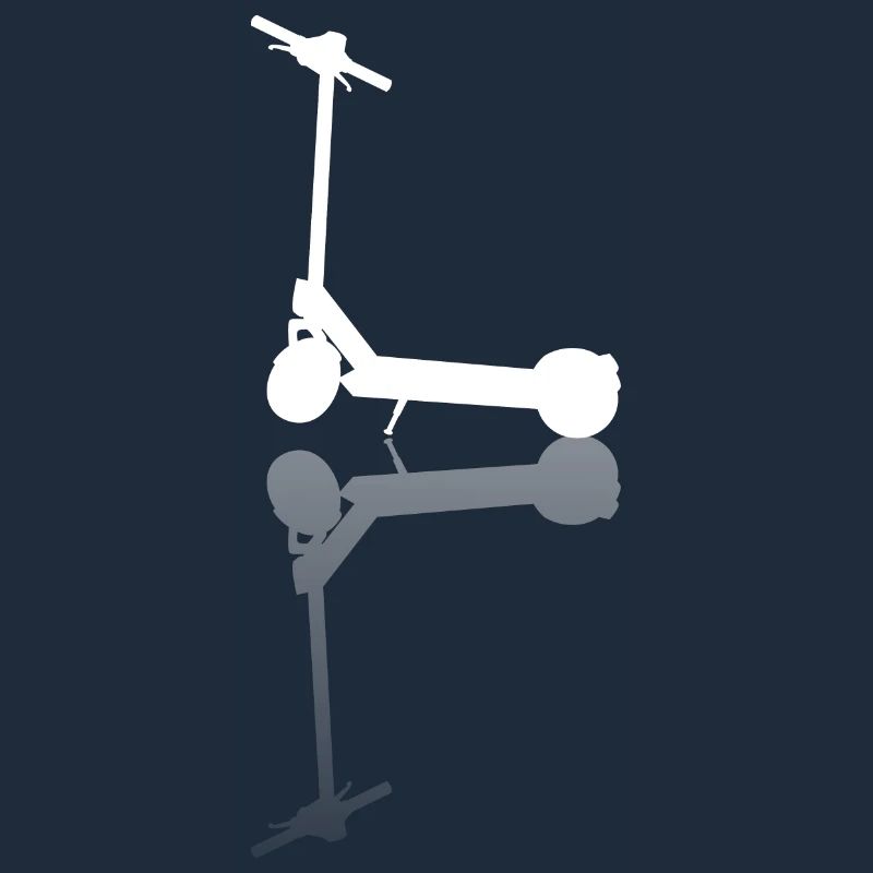 E Scooter Elektro Roller