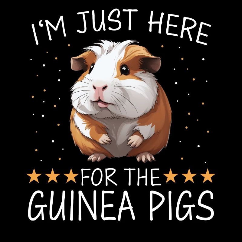 Guinea pig