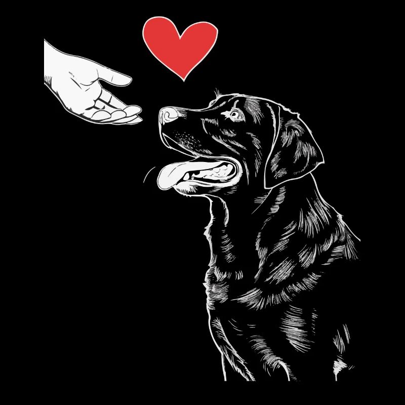 Labrador Chien Chiens