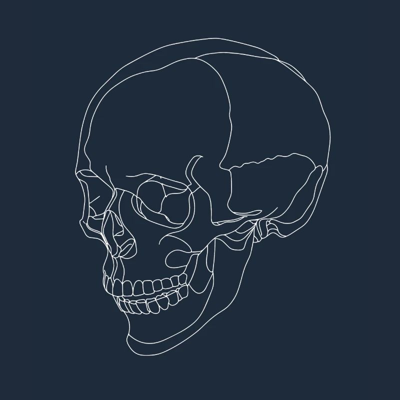 Skull - skull - skeleton - a line