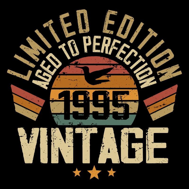 Vintage 1995 Retro 1995 Birthday Gift
