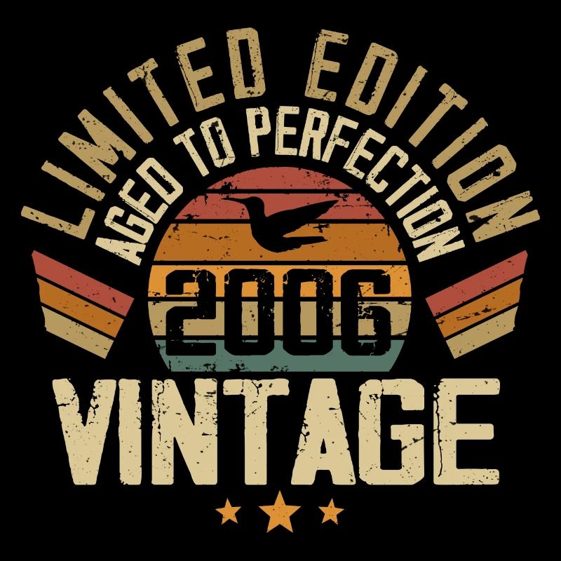 Vintage 2006 Cadeau d’anniversaire 2006 Rétro