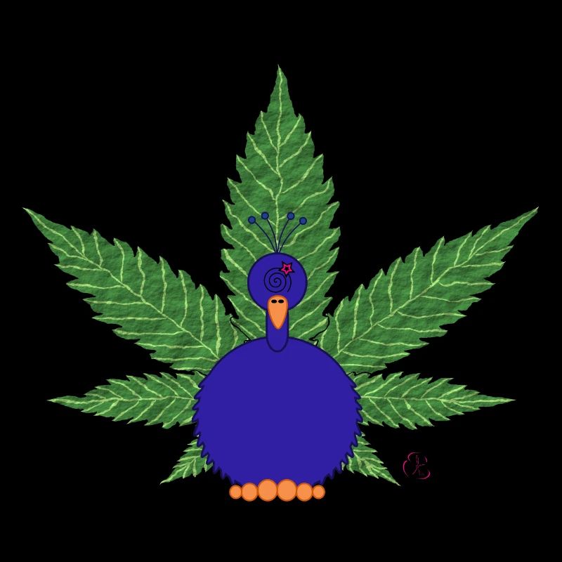 Peacock Canna à