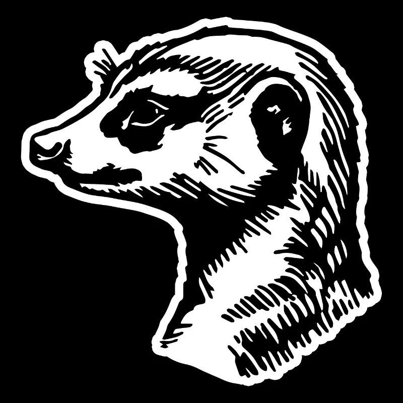 Suricate