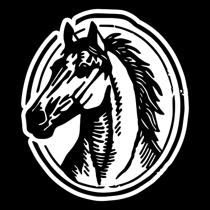 Pferd Pferde Reiten Reiter Reiterin
