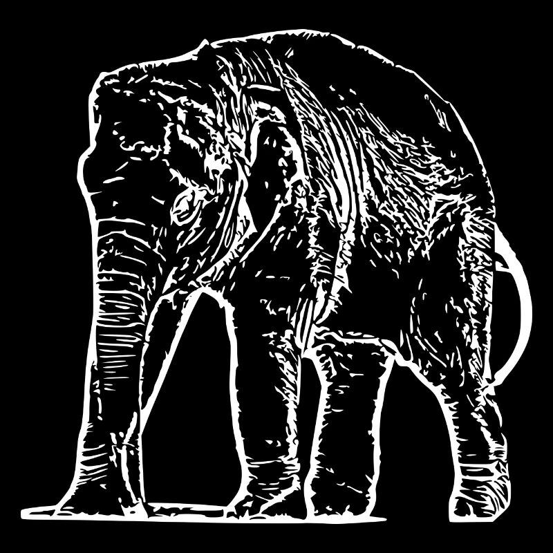Éléphant Baby Blanc