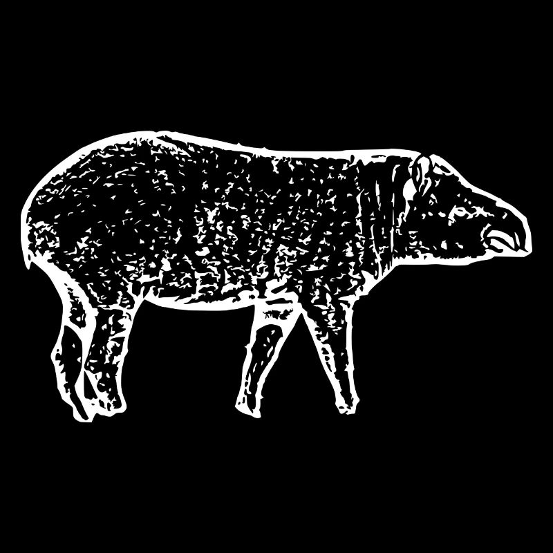 Tapirs