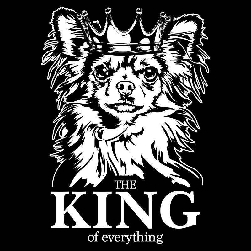 Chihuahua Roi de tout Chiens Chien Wilsigns