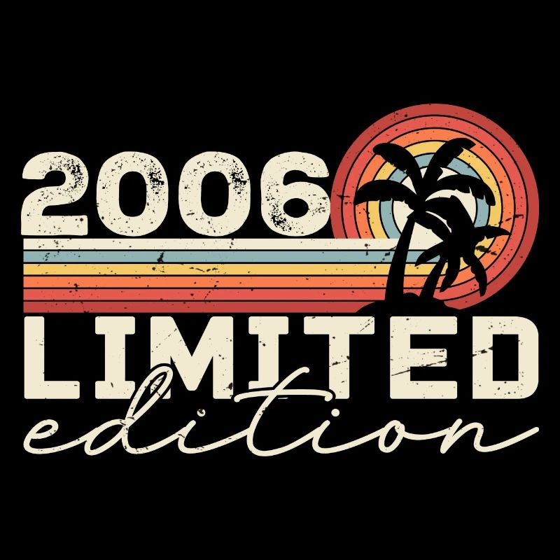Vintage 2006 Retro 2006 Anniversary Gift
