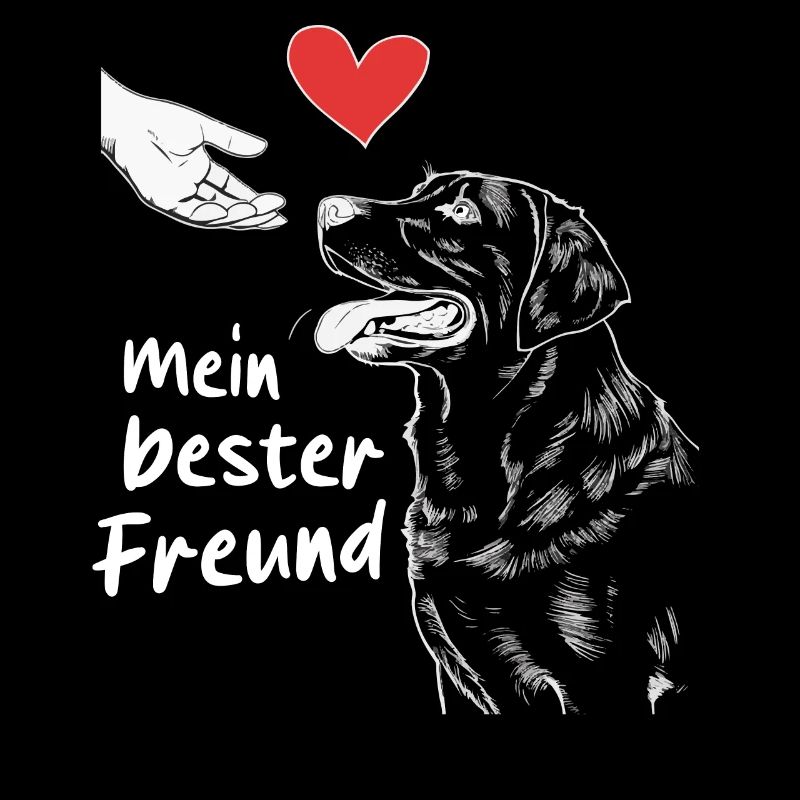 Labrador Chien Chiens