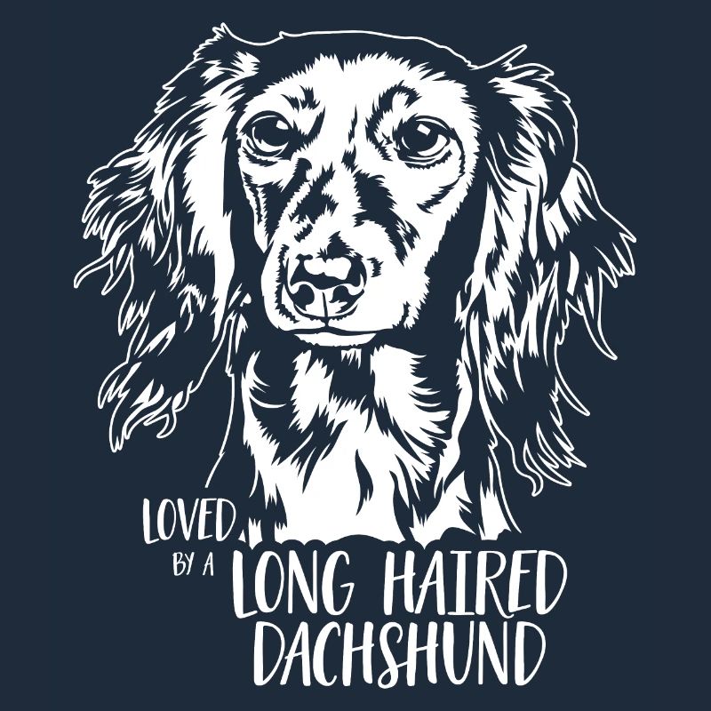 Loved by a Long Haired Dachshund Hunde Wilsigns