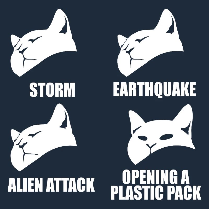 Cat - selective perception - saying