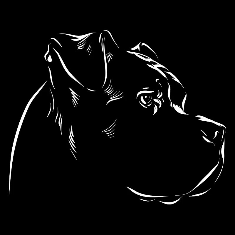 Cane Corso - Hunde Fan