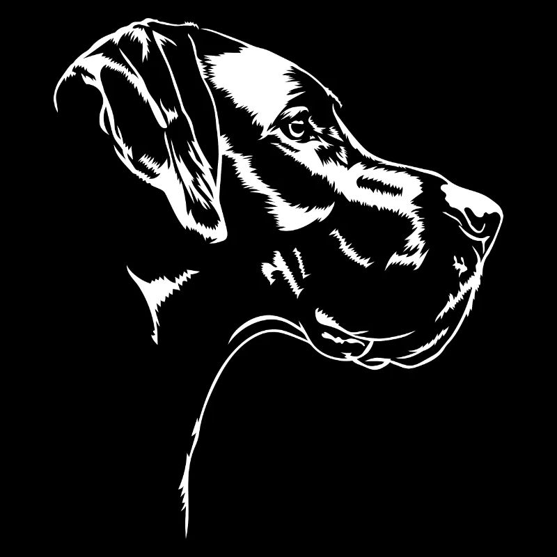 Dogue Allemand Chien Chiens Wilsigns