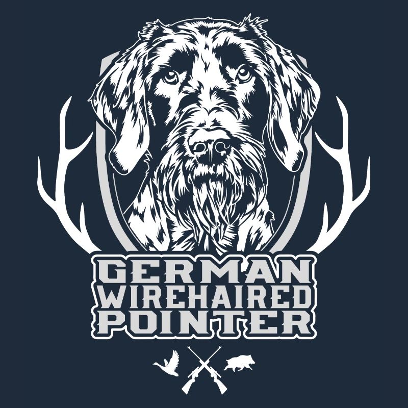 German Wirehaired Pointer Jagdhunde Hunde Wilsigns