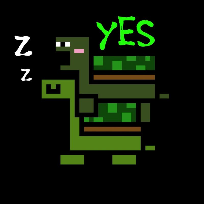 Schildkröten-Paar