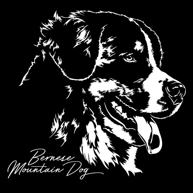 Portrait de bouvier bernois Hunde Hund Wilsigns