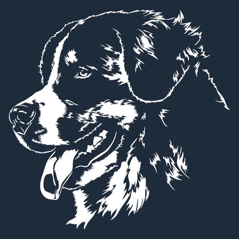 Bouvier Bernois Portrait Chiens Wilsigns