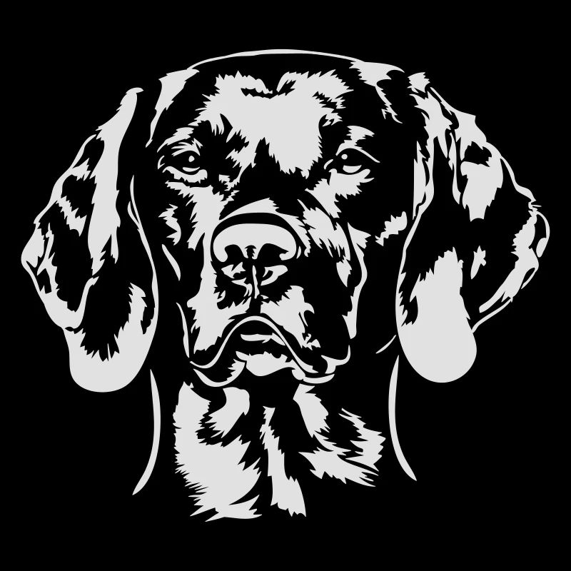 MAGYAR VIZSLA - VIZSLA