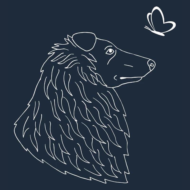 Collie mit Schmetterling
