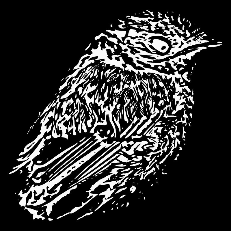 Vogel weiß