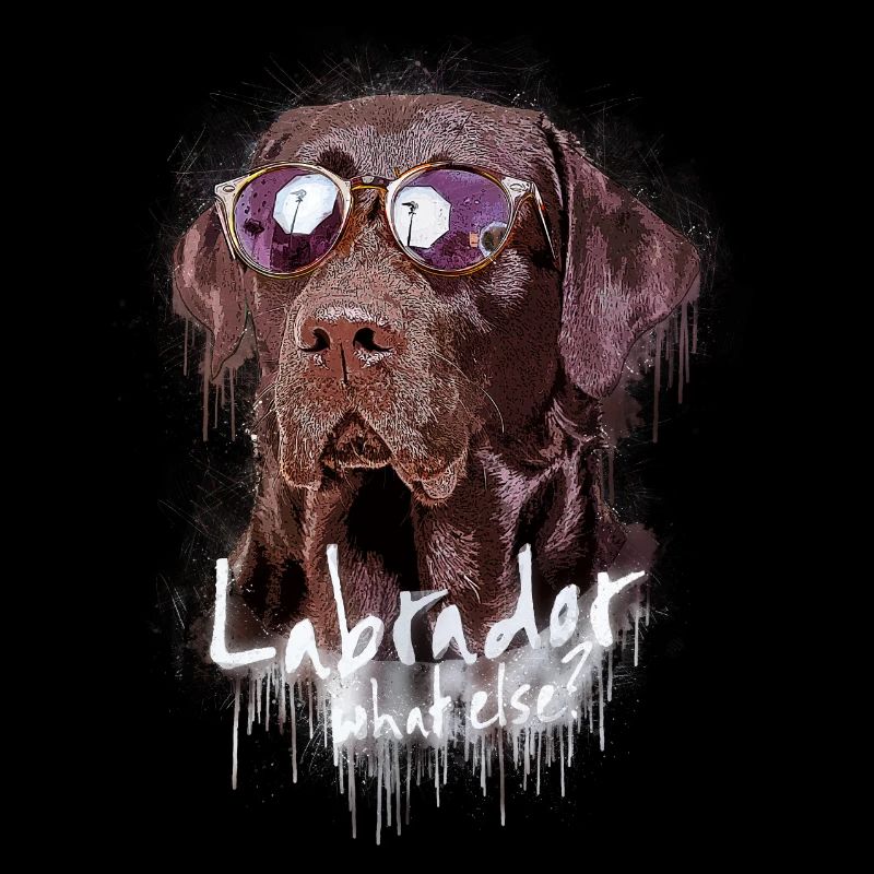 Labrador avec lunettes de soleil