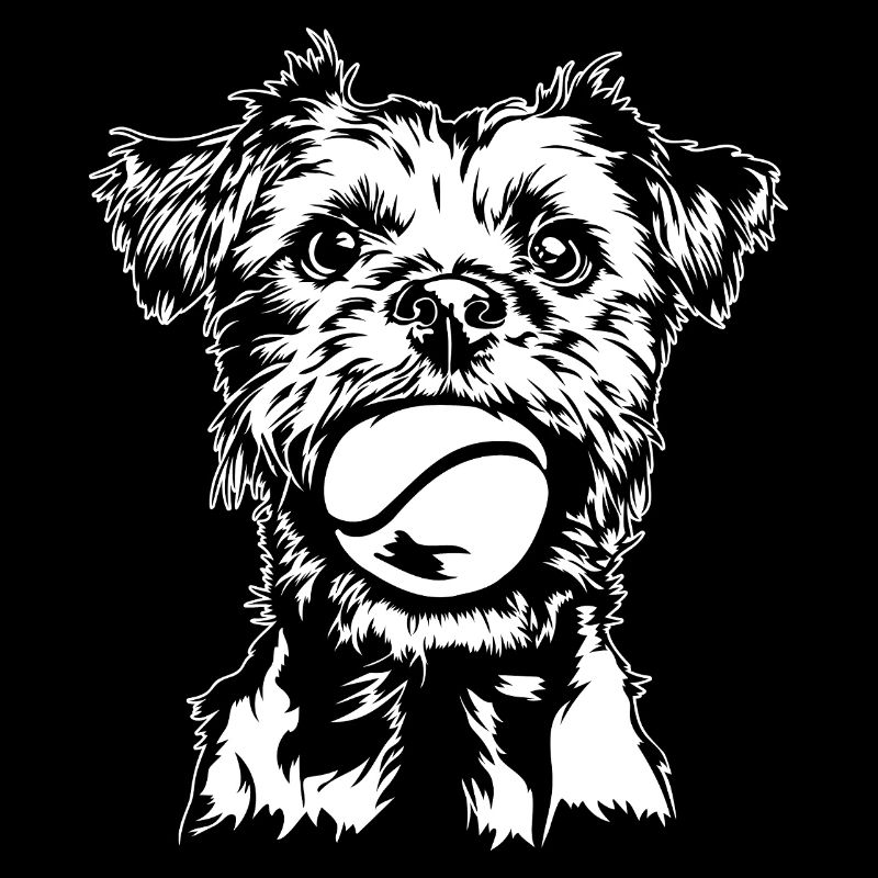 Border Terrier Hunde Hund Wilsigns