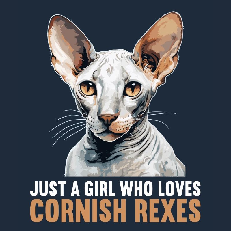 Cornish Rex Kitten Cornish Rex Cat