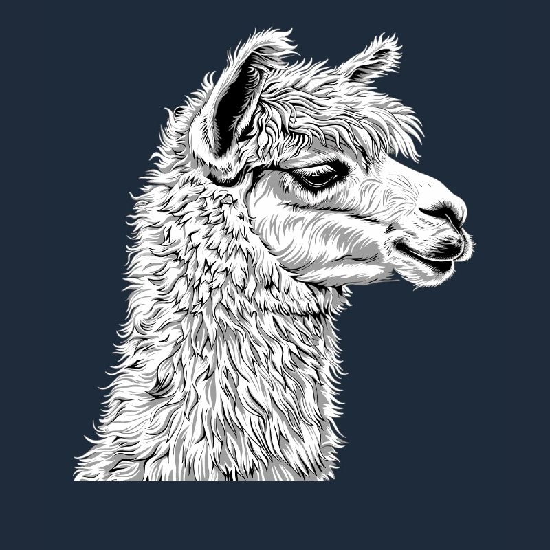 Alpaca Alpacas Alpaca