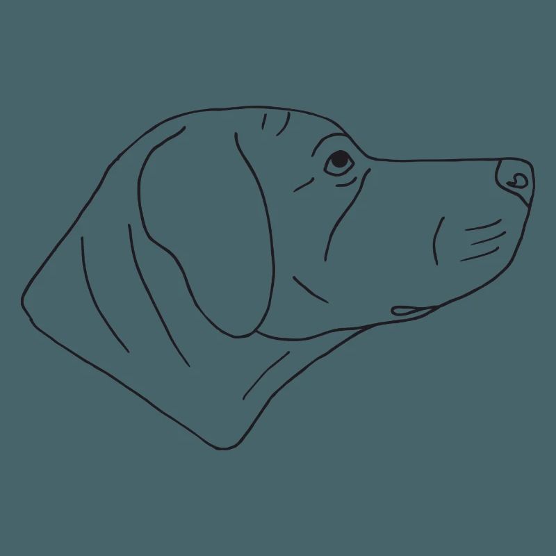 Rhodesian Ridgeback