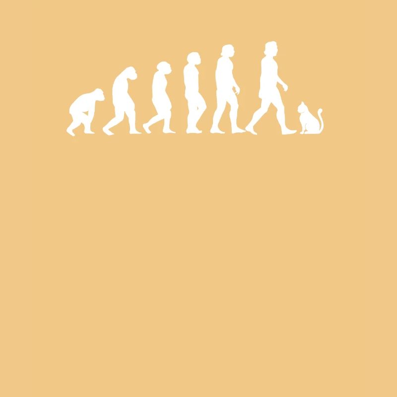 Katzen Evolution