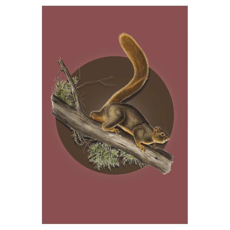 Eichhörnchen
