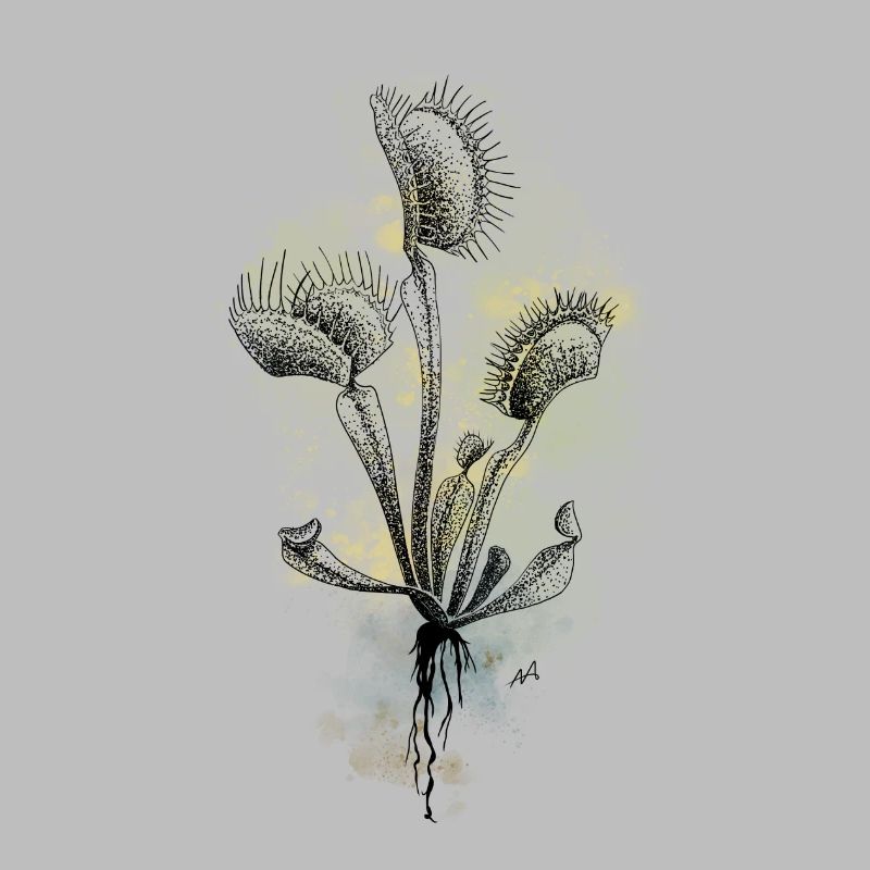Venus flytrap
