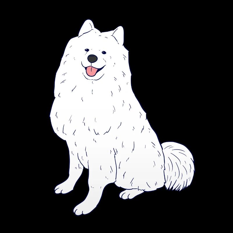 samoyède