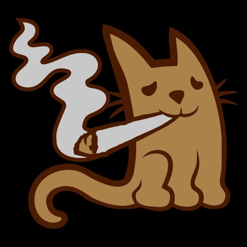 Fumer du pot mignon petit chat