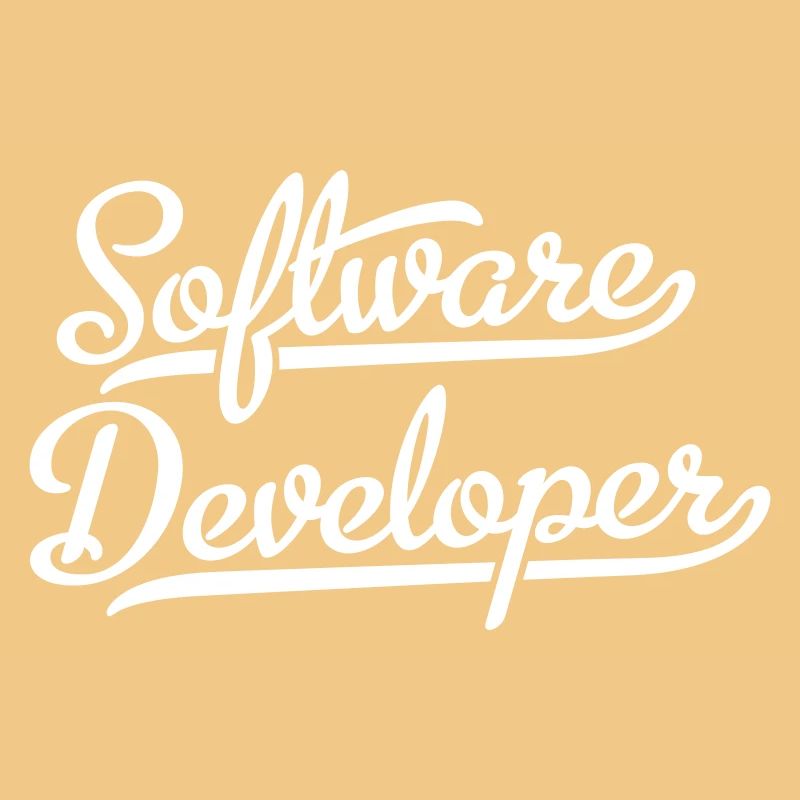 Software Developer