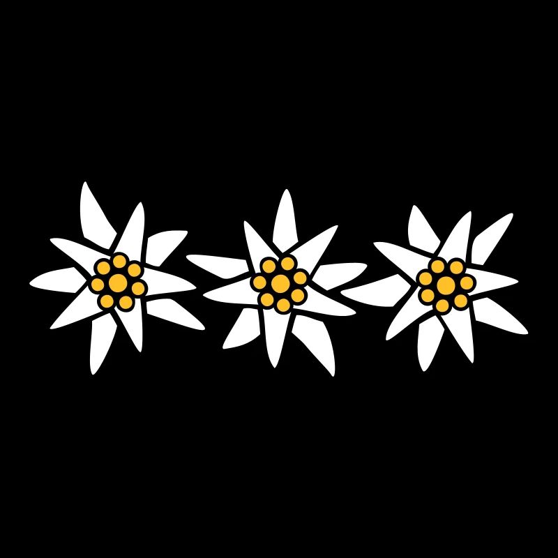Edelweiss Trio