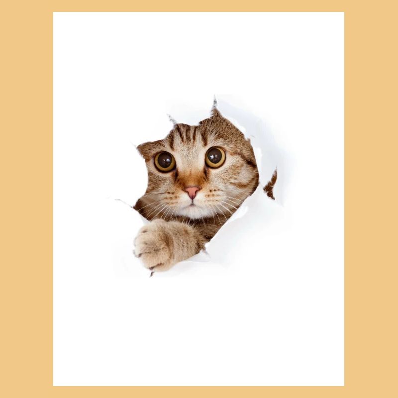 Chaton à coucou à travers une déchirure de papier