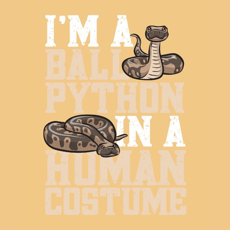 Ball Python Schlange Königspython