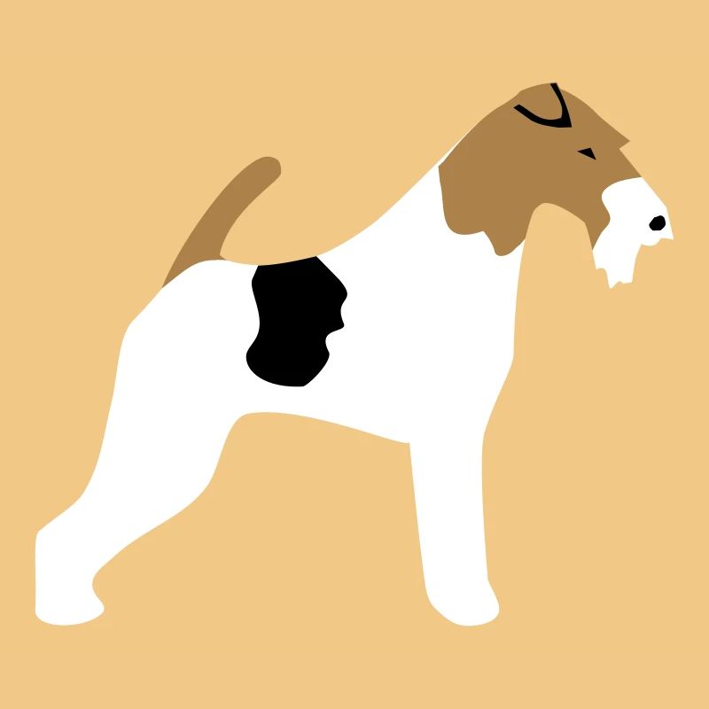 Foxterrier